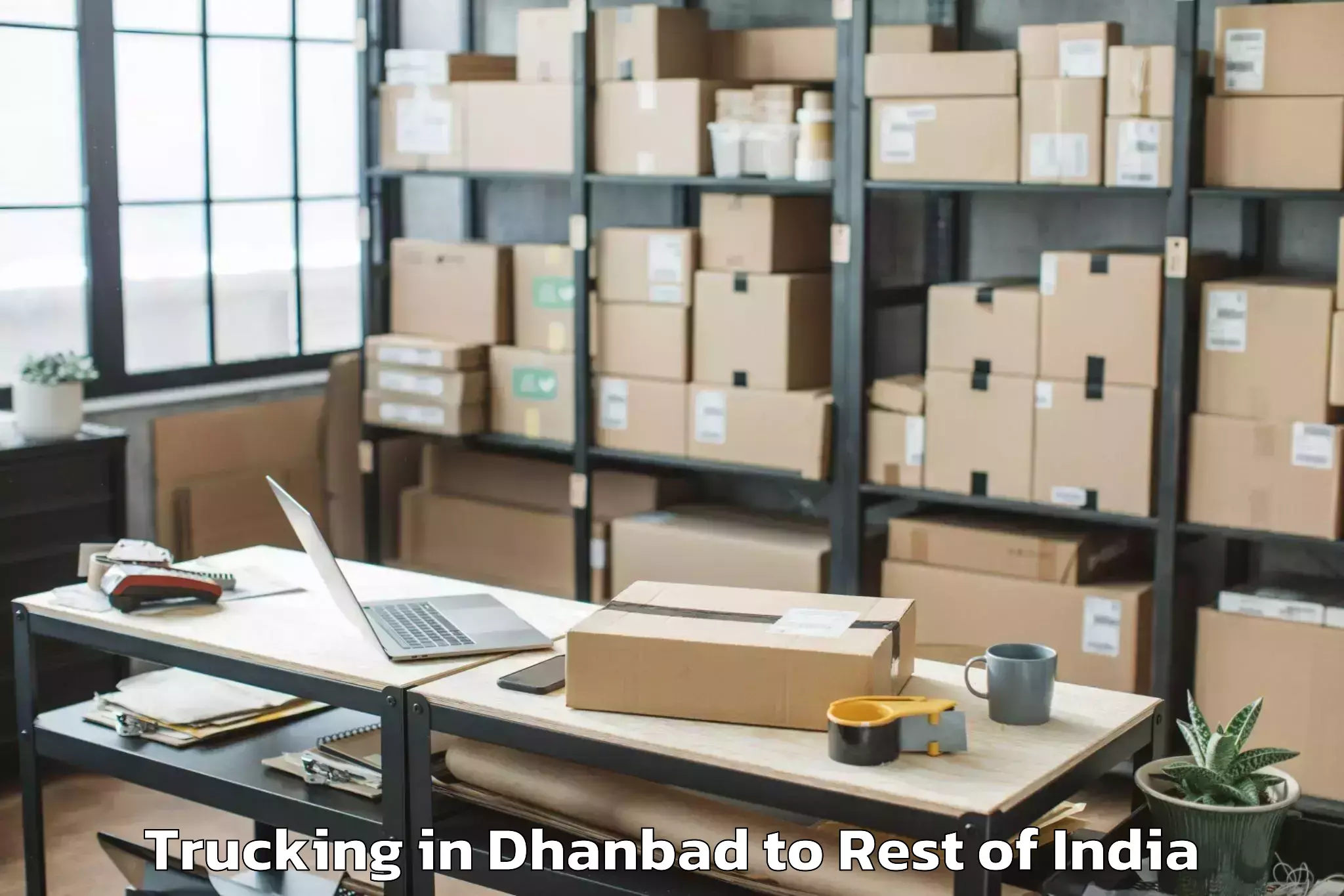 Book Dhanbad to Kitpi Trucking Online